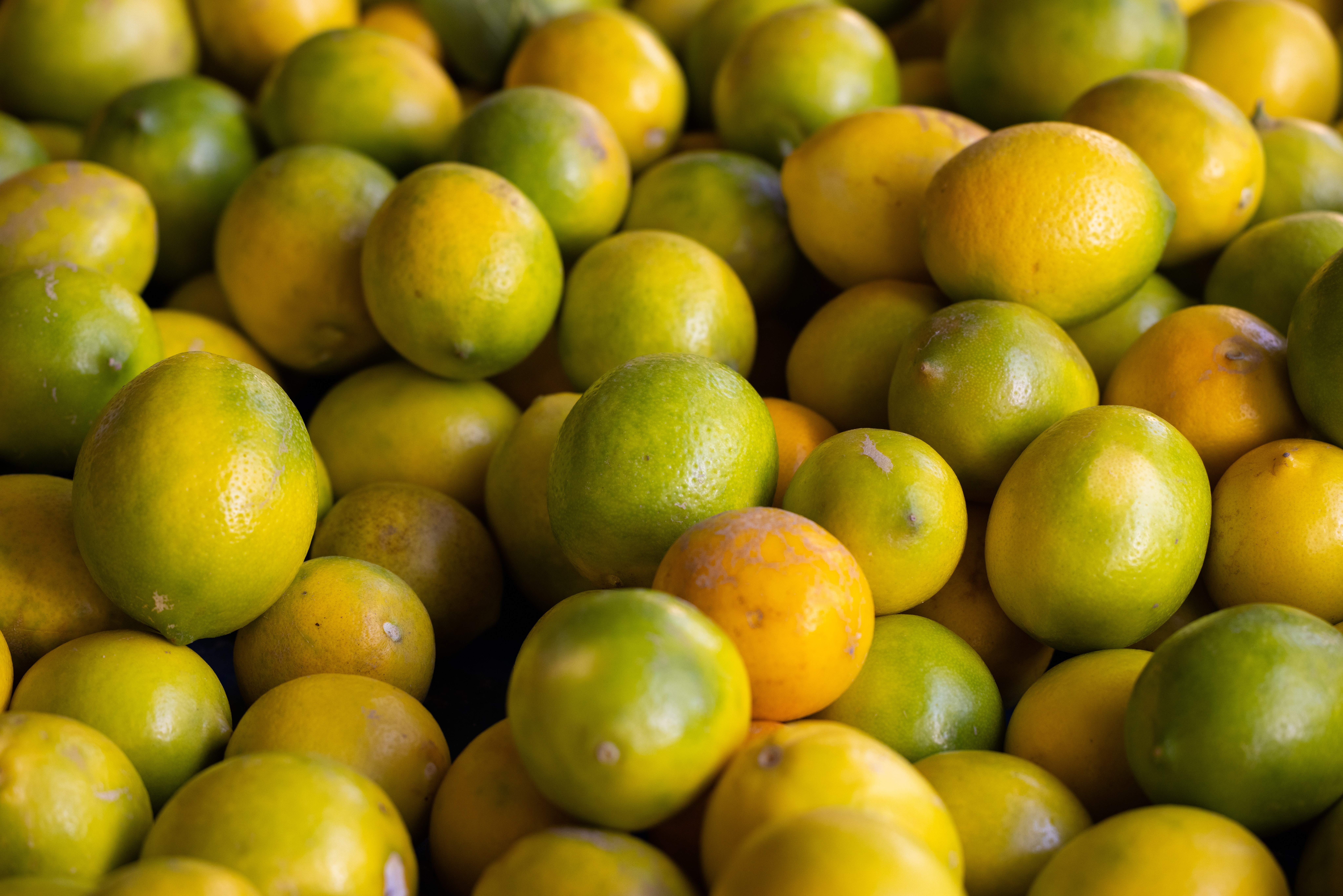 Yellow and Green Lemon